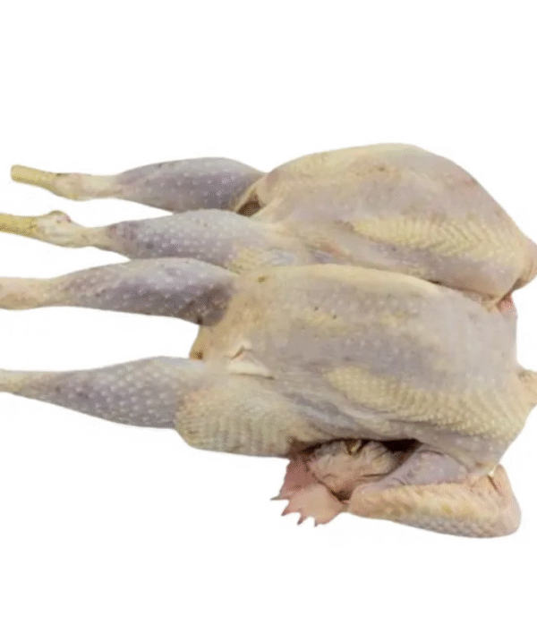 Whole hard chicken/hen in a bag 5kg