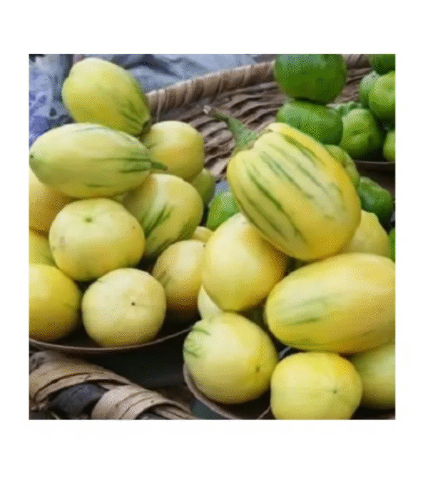 Garden Egg 3.3kg