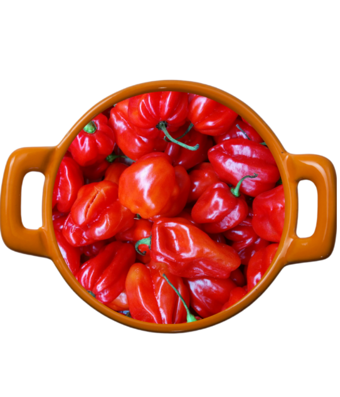 Ata Rodo – Scotch Bonnet – 1kg – A4 African Food Market | Authentic ...