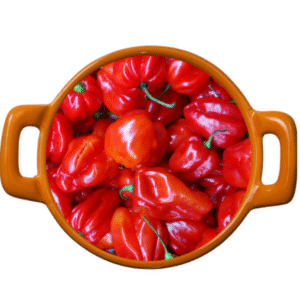 Ata Rodo – Scotch Bonnet – 1kg