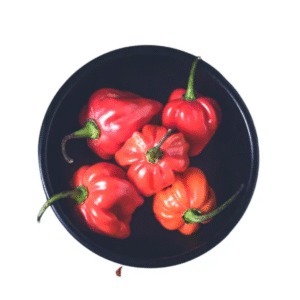 Scotch Bonnet Ata Rodo/Hot Pepper – Box 3.6kg