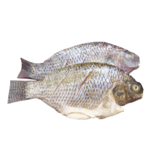 Whole Tilapia descaled & gutted 800 – 2.5kg